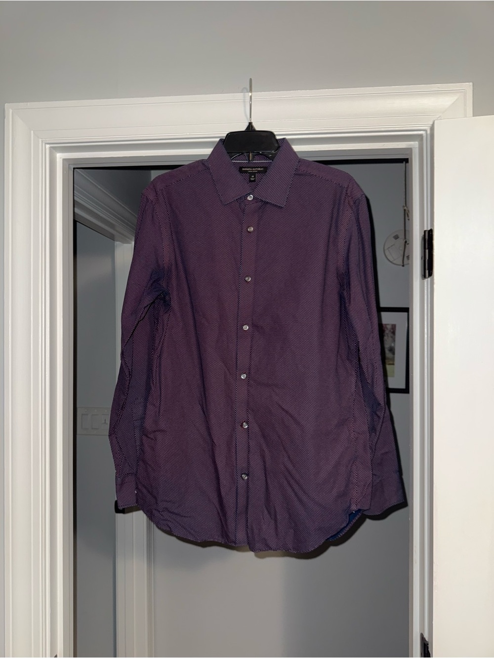 Banana Republic Men's Purple Microdot Dress Shirt